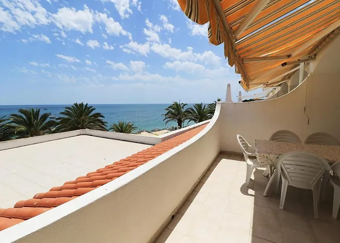 Venha Nadar A Oura *